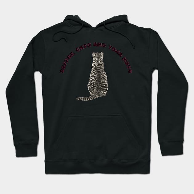 Coffee cats and yoga mats funny yoga and cat drawing Hoodie by Red Yoga